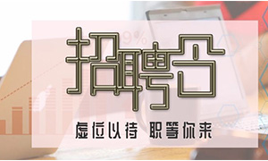 服務商戶，致力發(fā)展—安徽分公司合肥濱湖店攜手優(yōu)質商戶人才招聘會 